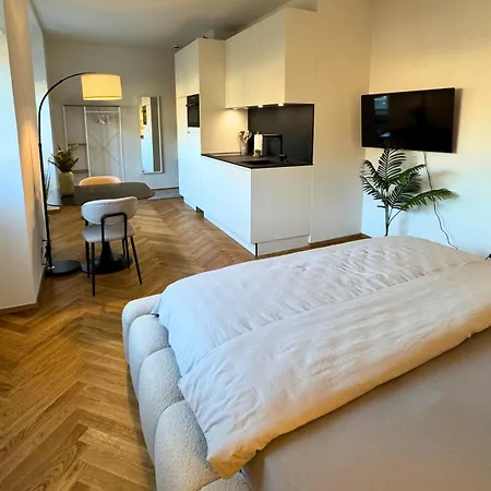 公寓 Isaak Loewenbau E2-w05