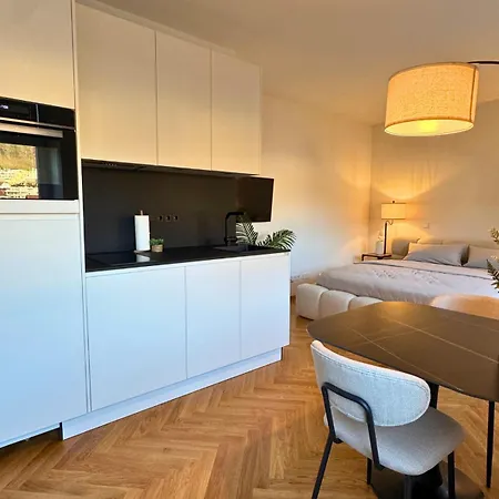 公寓 Isaak Loewenbau E2-w05